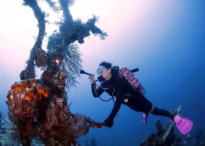 Alba Bali Dive Tulamben (Bali)