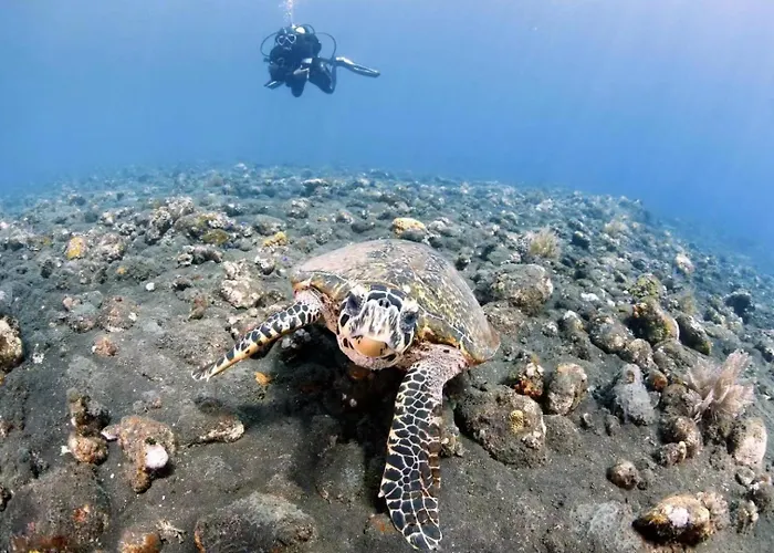 Alba Bali Dive