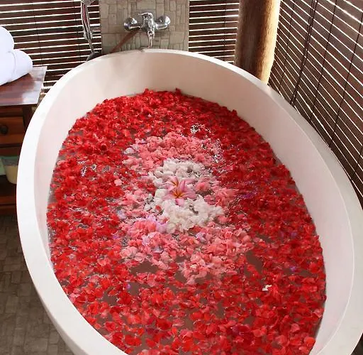 Hotel Alba Bali Dive