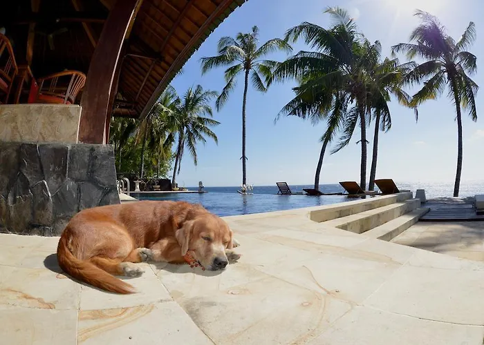 Alba Bali Dive Hotel 3*