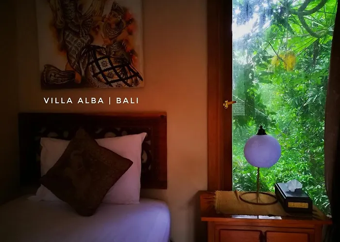 Alba Bali Dive